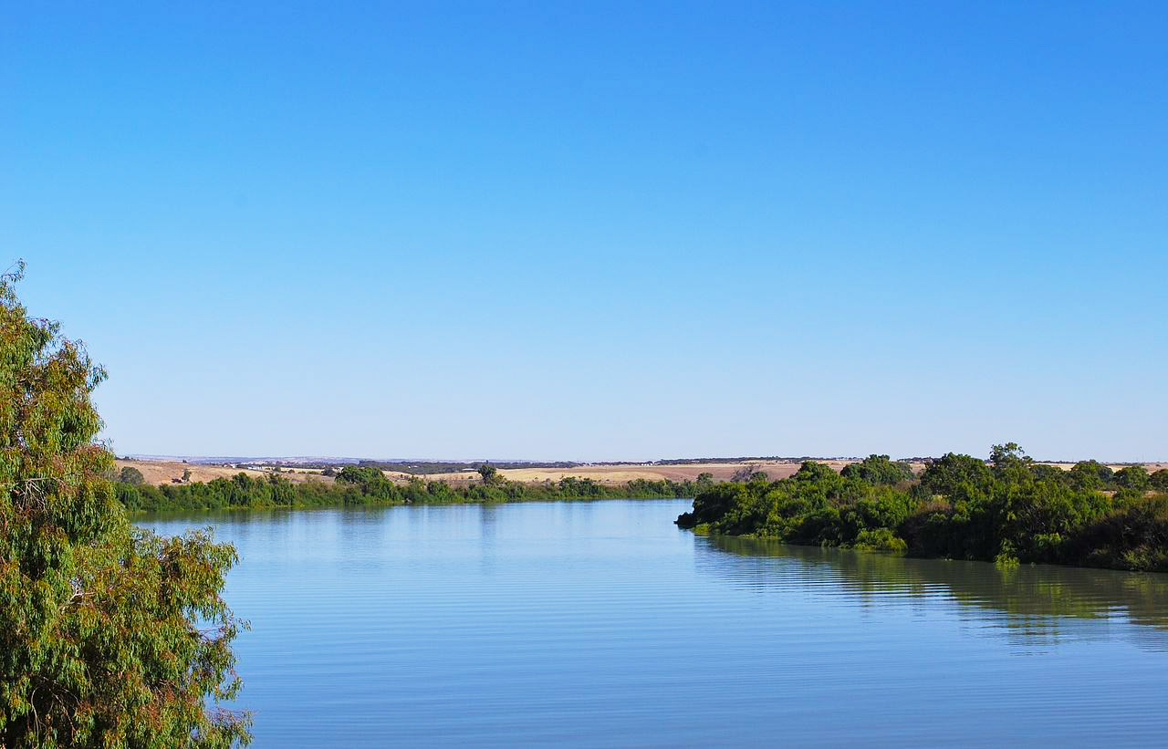 Murray River, Murray Bridge, South Australia