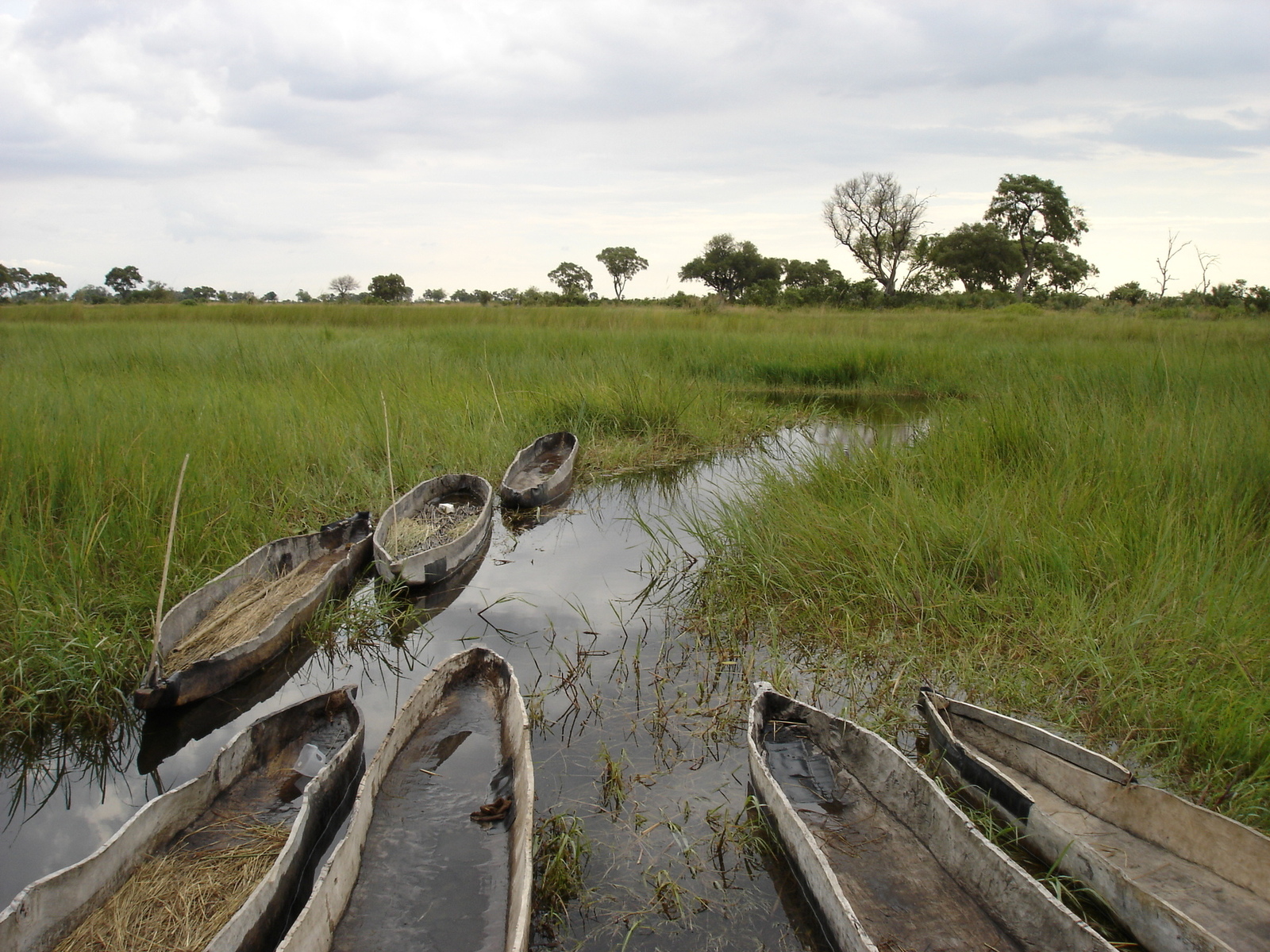 Okavango Delta Botswana safari