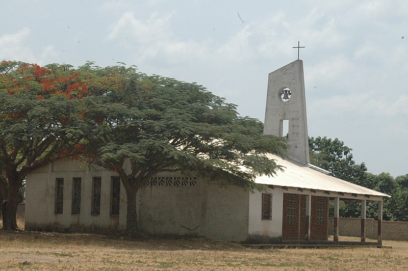 Central African Republic Dzanga Sangha Rainforest