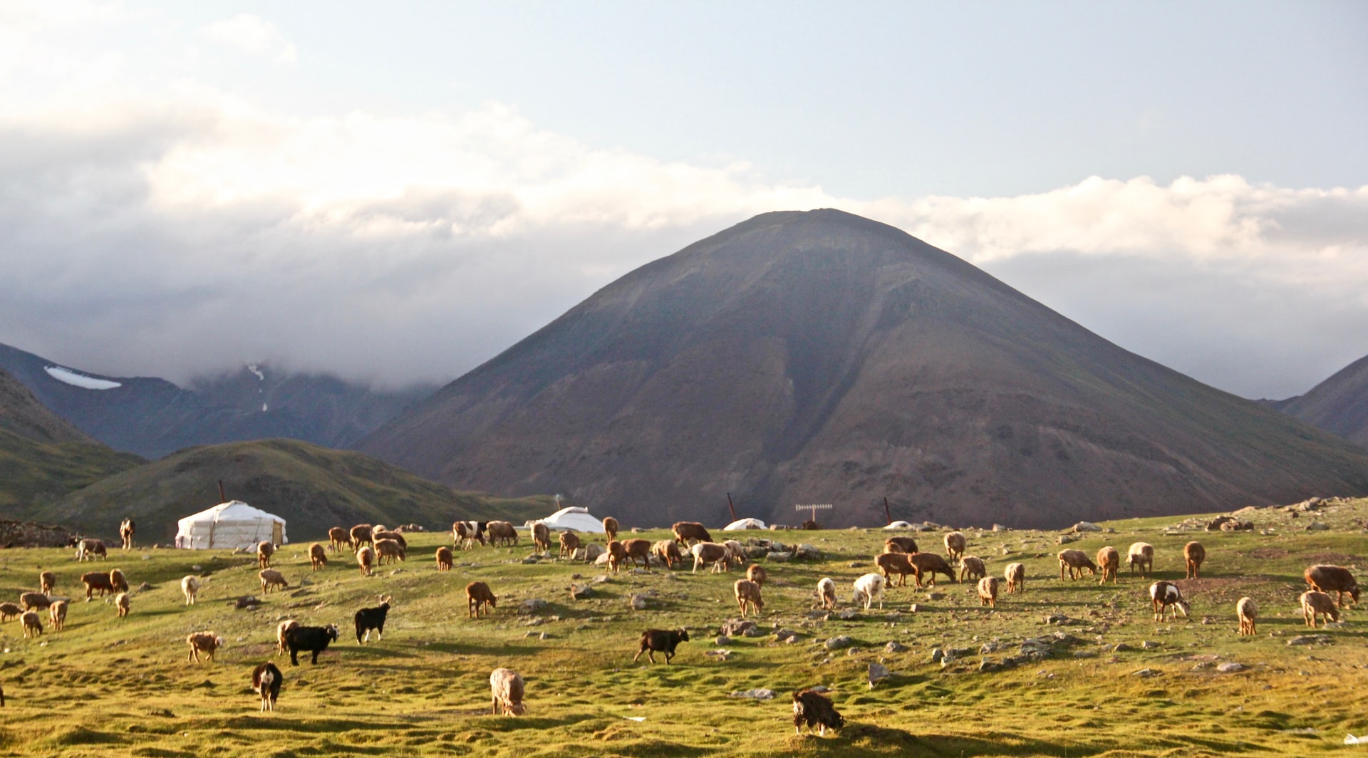 Mongolia  camp