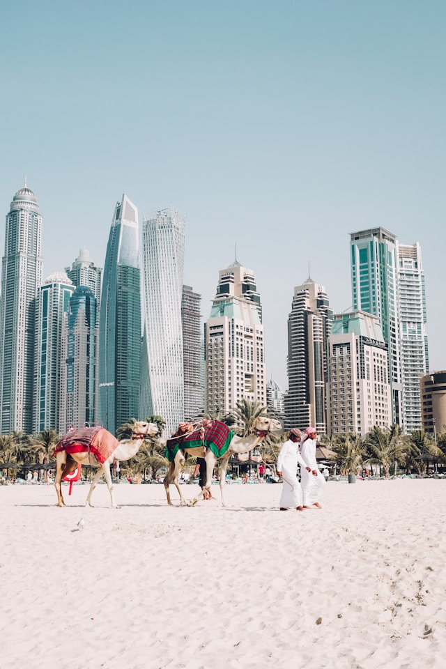 Photo by Fredrik Öhlander on Unsplash       