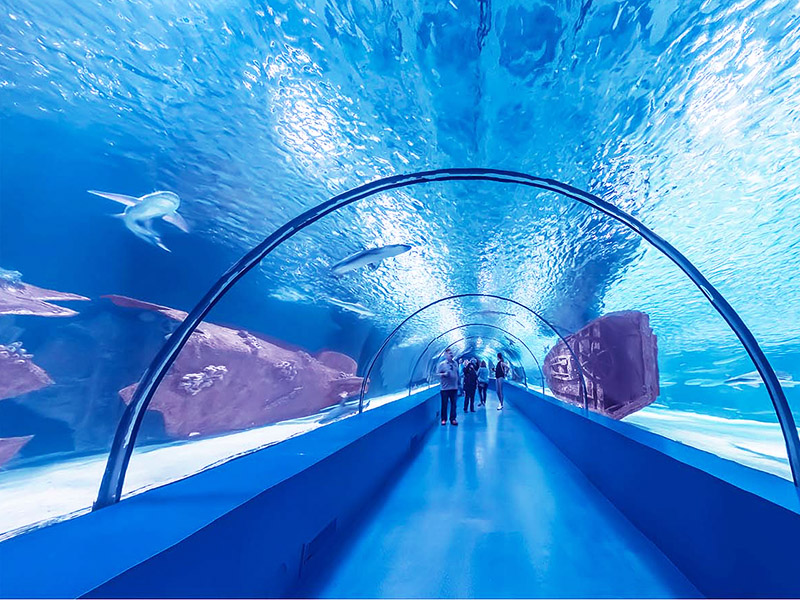 Antalya Aquarium