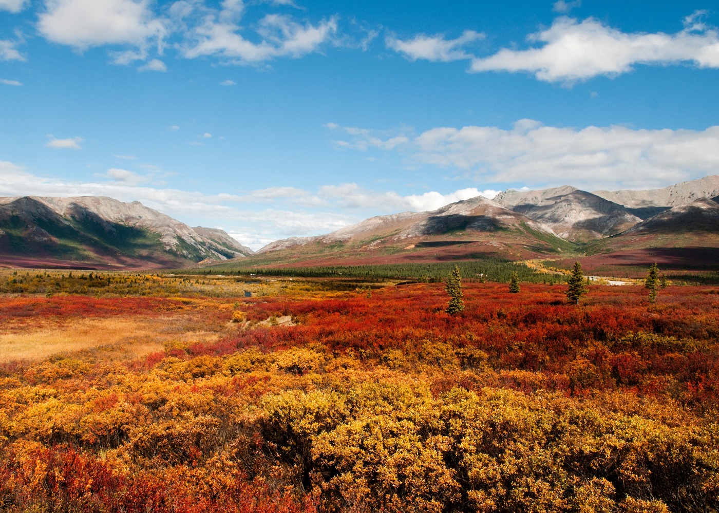 Alaska Landscape