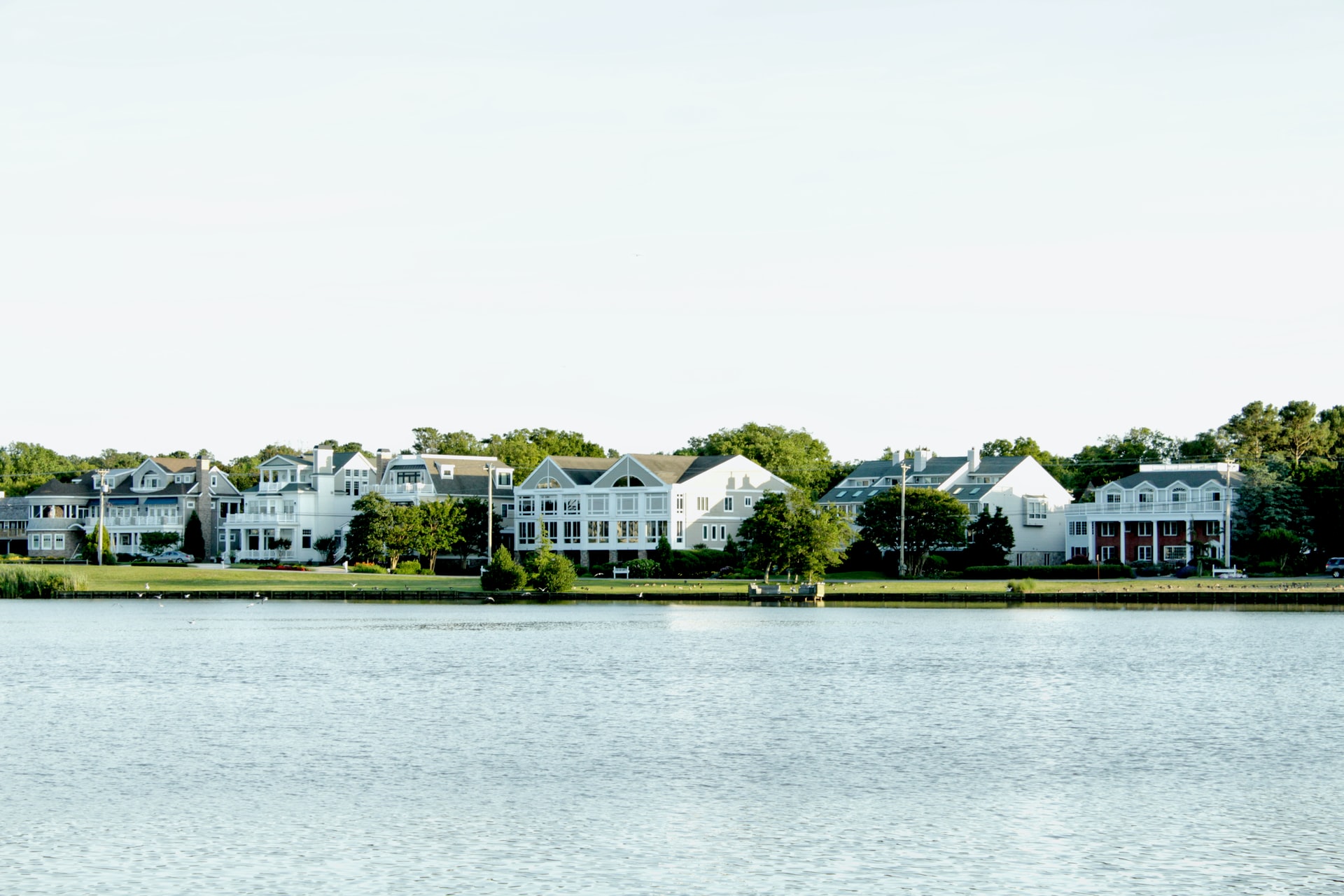 Delaware Landscape